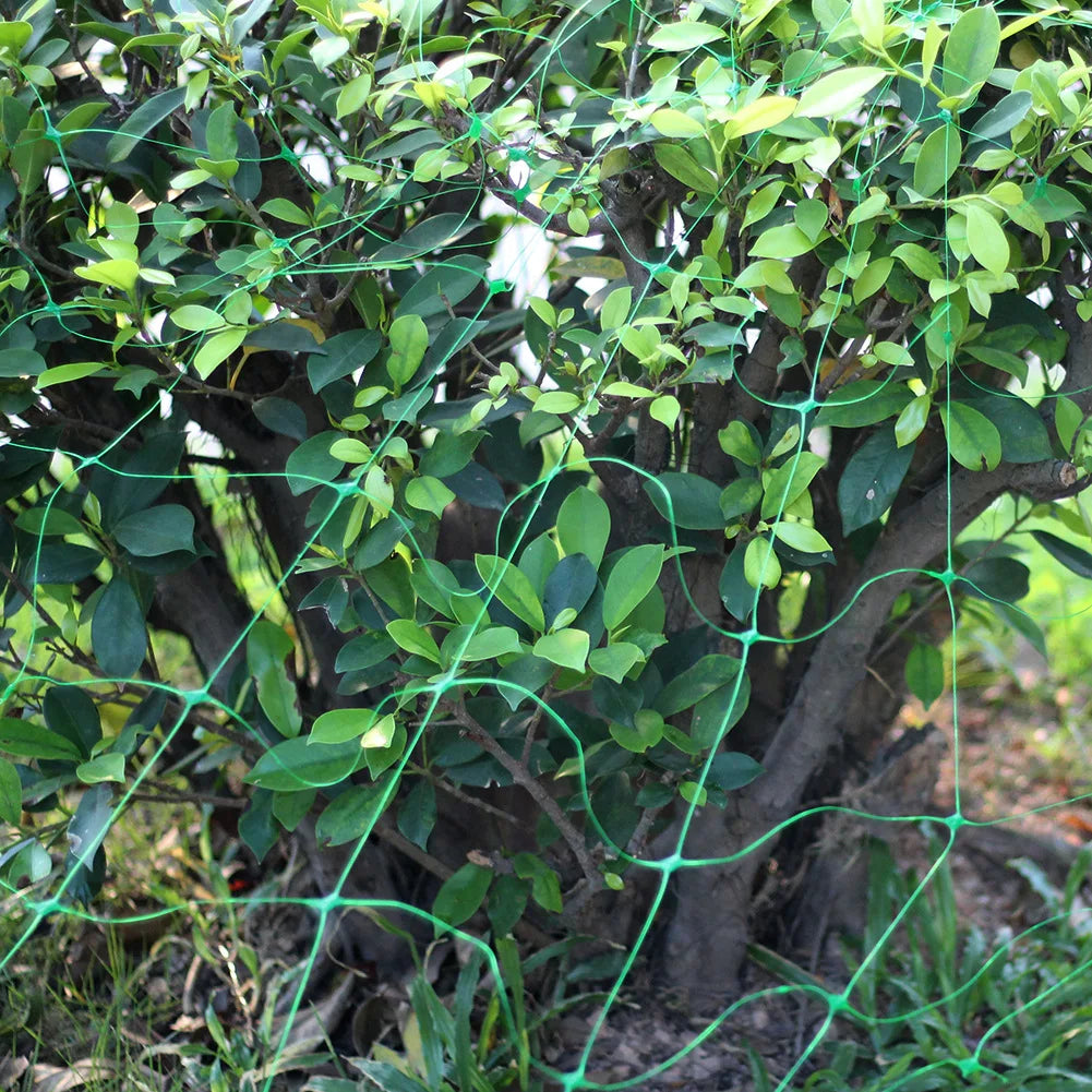 Garden Plants Climbing Net Plant Trellis Netting Pea Netting Garden Netting Trellis Net for Bean Fruits Vegetables Climbi
