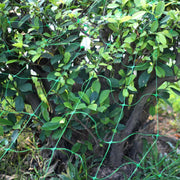 Garden Plants Climbing Net Plant Trellis Netting Pea Netting Garden Netting Trellis Net for Bean Fruits Vegetables Climbi