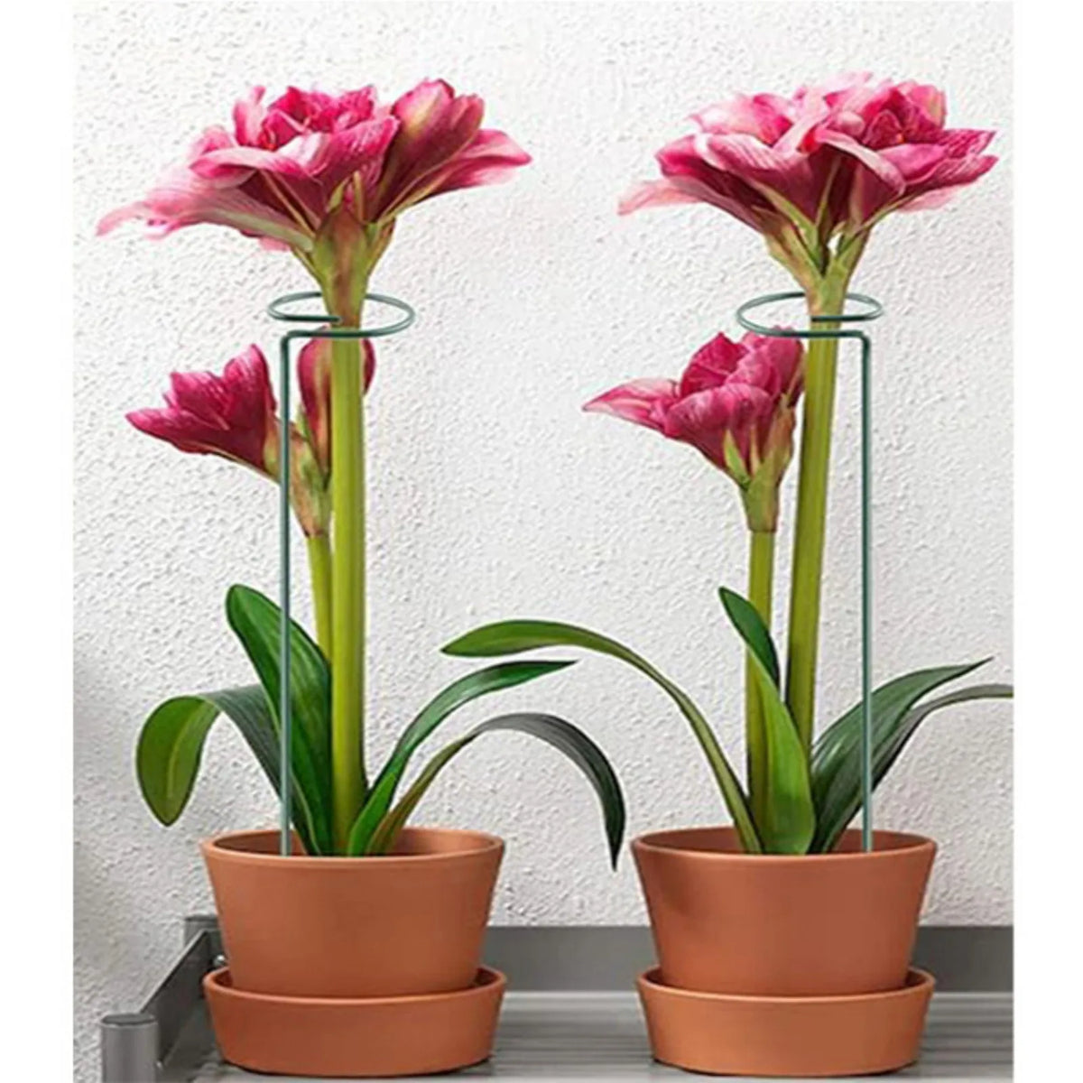 Plant Straight Pole & Spiral Climbing Support,Plant Supports Stakes,Plant Supports Cages Support Tools For The Garden,6pcs