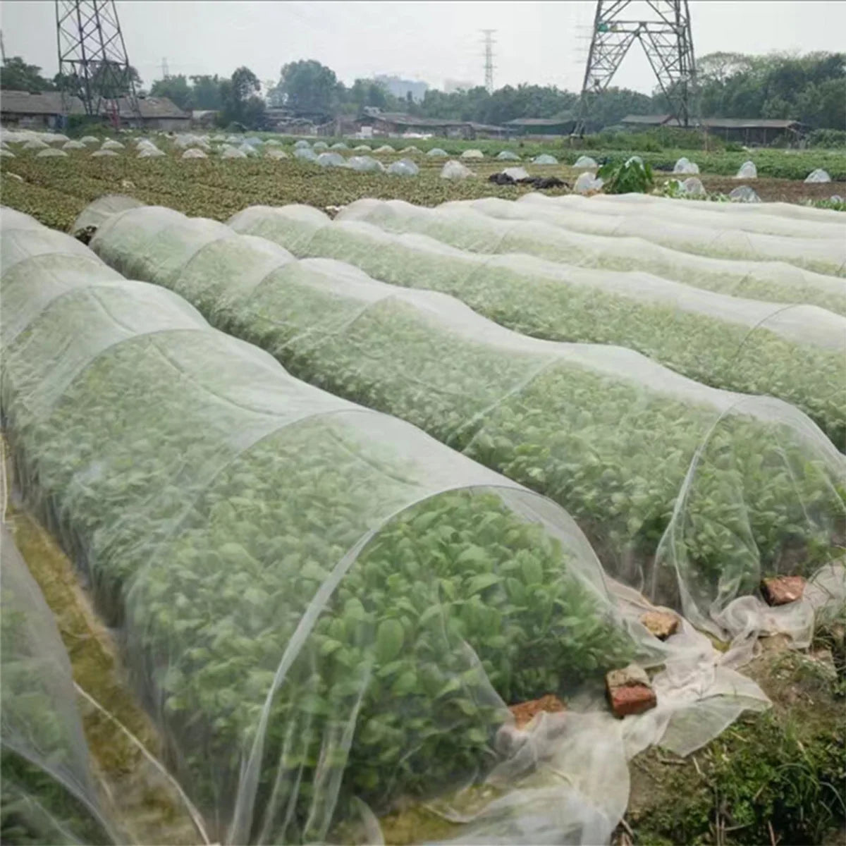 Garden Insect Protection Net Garden Vegetable Heavy Duty Woven Mesh Pests Control Anti-Bird Supplies Protecting Plants Fruits