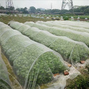 Garden Insect Protection Net Garden Vegetable Heavy Duty Woven Mesh Pests Control Anti-Bird Supplies Protecting Plants Fruits