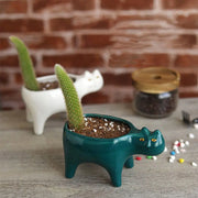 Cute Ceramic Garden Living Room Cactus Plants Balcony Plant Pot Flower Pot Plant Container Tabletop Ornaments
