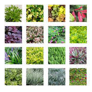 Garden Outdoor Plant Wall Flower Pot Container Wall Hanging Vertical Green