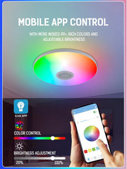 RGB Smart Ceiling Light LED Interior Home Decorative Light Luster Dimming Remote Control WIFI Living Room Ambient Light Party