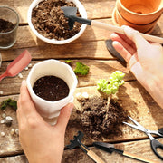 13PCS Mini Garden Planting Tool Set for Succulents Weeding Digging Planting Transplanting Miniature Fairy Garden Gardening Tools