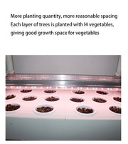 Greenhouse Soilless Hydroponic System Equipment Indoor Vegetable Flower Pot Vegetable Planting Balcony Modular Vertical Garden