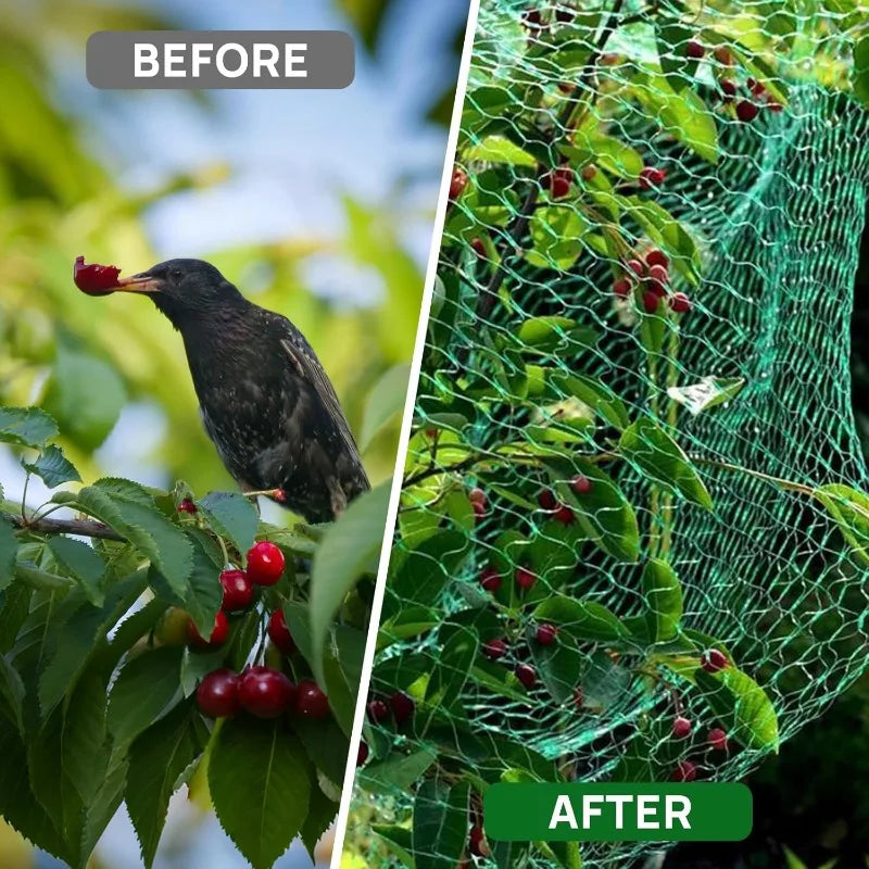 Garden Anti Bird Insect Protection Net Orchard Plant Vegetable Fruit Care Covers Green Mesh Pest Control Network Stretch Fencing