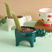 Cute Ceramic Garden Living Room Cactus Plants Balcony Plant Pot Flower Pot Plant Container Tabletop Ornaments
