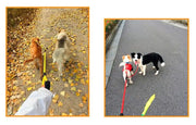 Dog Leash Double Leashes for Dogs Walking Detachable Dog Chains Two Dogs Double Leashes Walker Pet Supplies Accessories Pet Belt