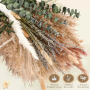 210 Pieces Bohemian Decoration in Dry Pampa Herb Lavender and Rustic Eucalyptus Home Decoration Wedding Room and Table Decor