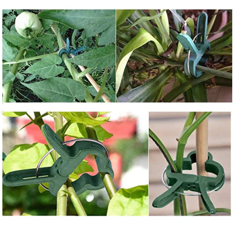 10pcs/set Green Garden Plant Fixed Clips Garden Tools for Greenhous Vegetables Stem Vines Grape Clamp Support Straighten Stems
