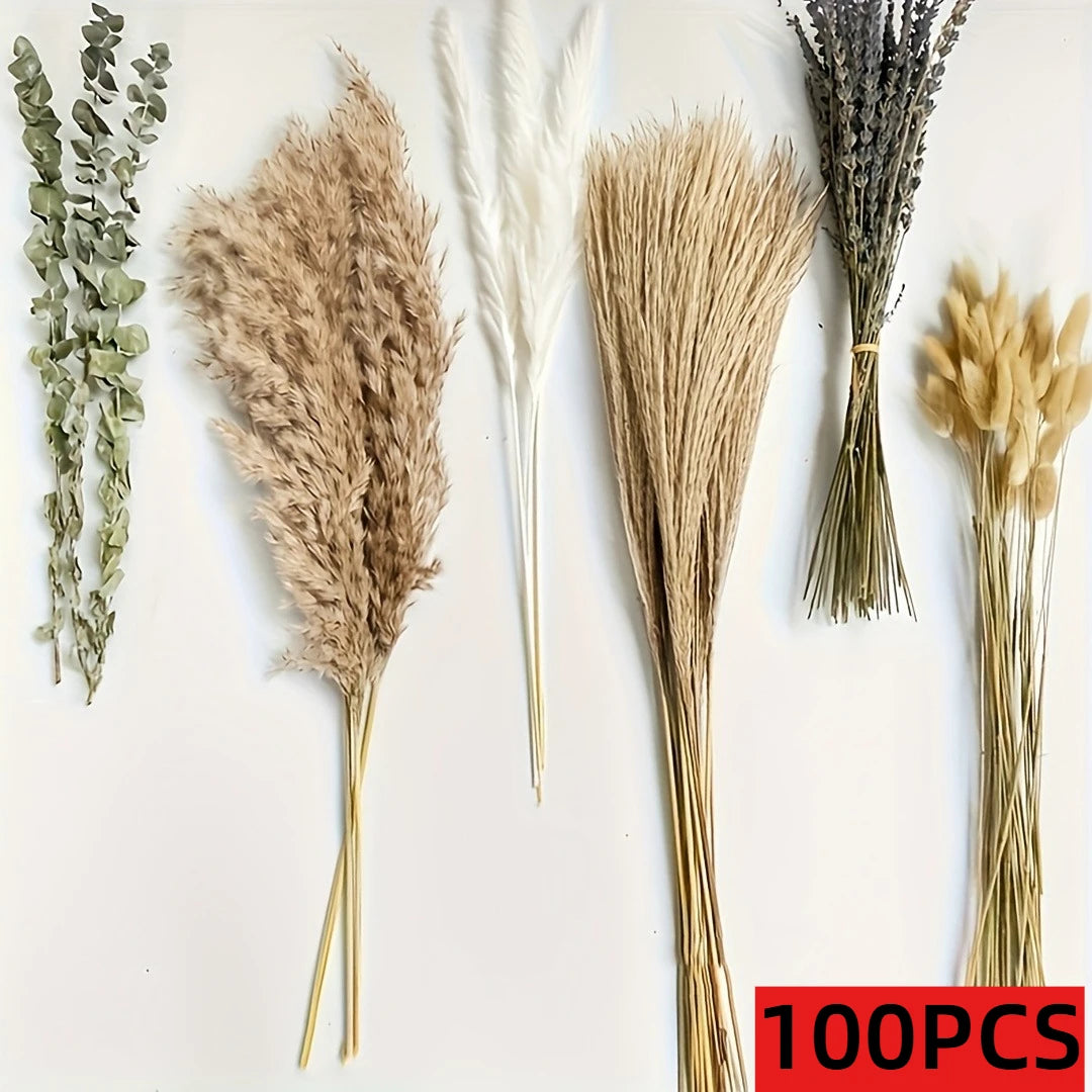 210 Pieces Bohemian Decoration in Dry Pampa Herb Lavender and Rustic Eucalyptus Home Decoration Wedding Room and Table Decor