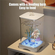 FLYY-Aquariums Accessories Mini Fish Tank Acrylic Home Office Desktop Decorations Ecological Goldfish Tanks Aquarium