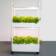 Greenhouse Soilless Hydroponic System Equipment Indoor Vegetable Flower Pot Vegetable Planting Balcony Modular Vertical Garden