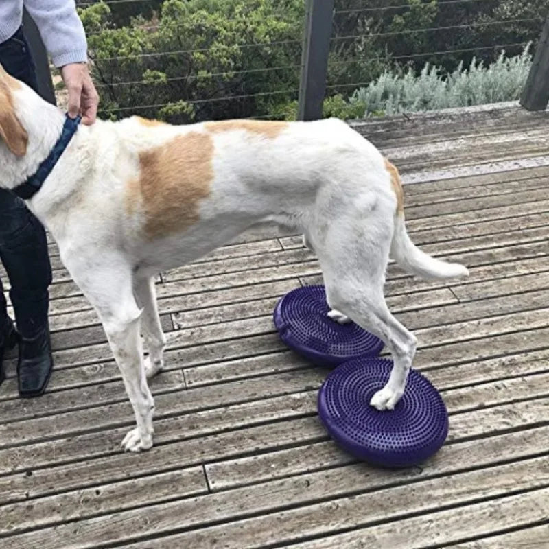 Dogs Training Aids Balance Flying Saucer Fitness Sports Muscle Atrophy Dog Agility Toy Pet Rehabilitation Training Products