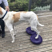 Dogs Training Aids Balance Flying Saucer Fitness Sports Muscle Atrophy Dog Agility Toy Pet Rehabilitation Training Products