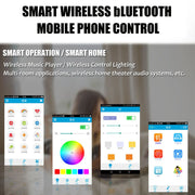 RGB Smart Ceiling Light LED Interior Home Decorative Light Luster Dimming Remote Control WIFI Living Room Ambient Light Party