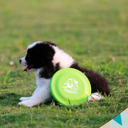Dog Training Disc - Durable Pet  for Puppy & Adult Dog Training, Lightweight Easy-Catch Dog Training Toy, Essential Pet Supplies