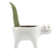 Cute Ceramic Garden Living Room Cactus Plants Balcony Plant Pot Flower Pot Plant Container Tabletop Ornaments