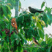 Garden Anti Bird Netting for Fruit Trees Vineyard Fruits Crops Vegetable Flower Protection Mesh Net Fencing Pond Pool Covers Net