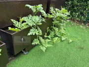 Garden Planter Flower Box Garden Bed Raised 3-tier Mobile Garden Balcony Planter Trolley With 4 Wheels Easy Movable and Fixed