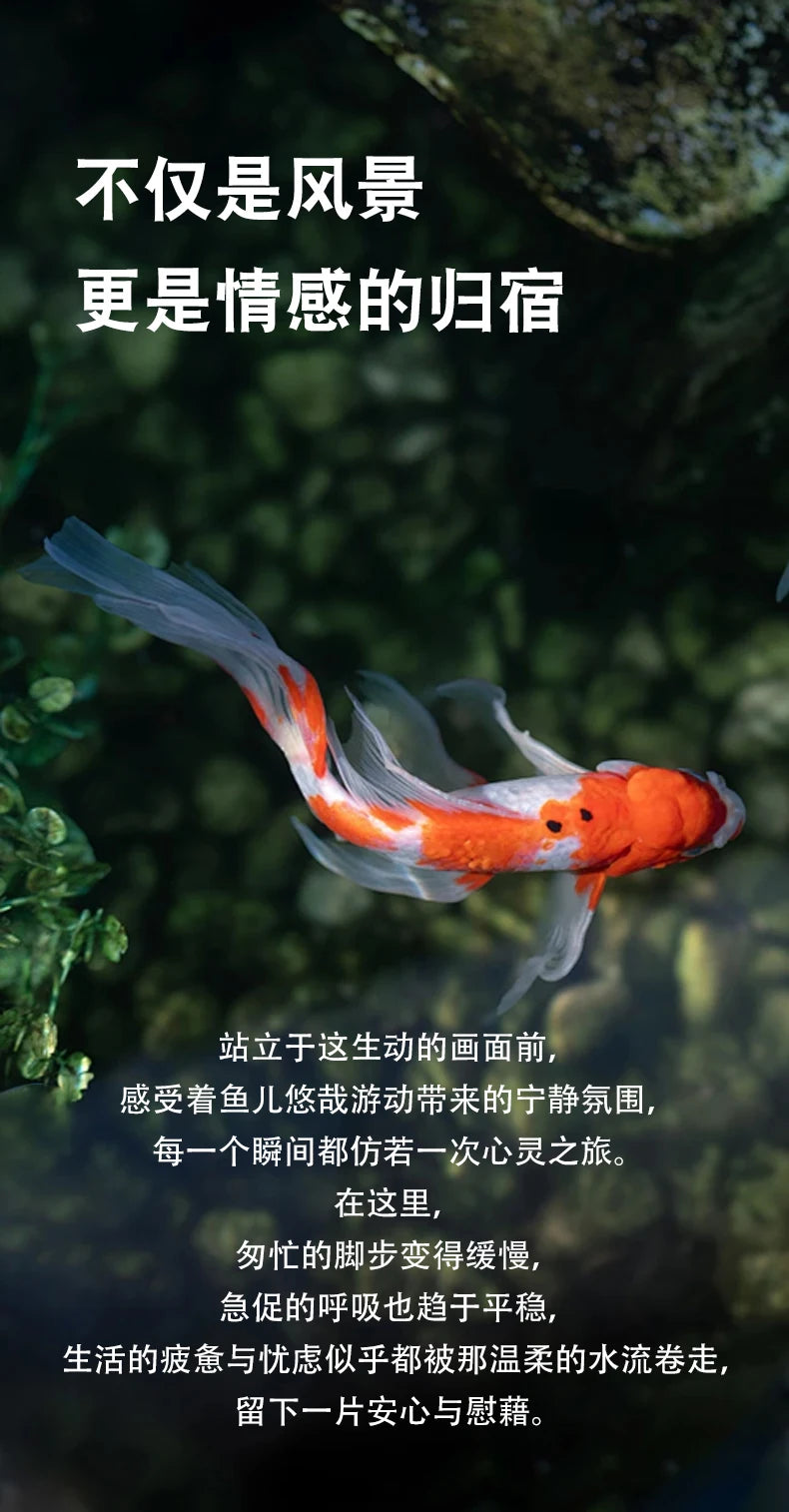 Fish Tanks Accessories New Style Aquarium Fish Bowl Modern Equipment Accent Decoration Aquarium Floor Furniture Acquario Lsyg